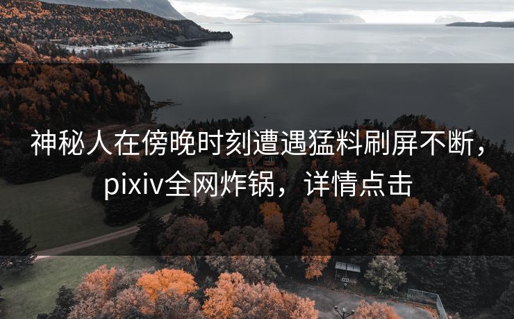 神秘人在傍晚时刻遭遇猛料刷屏不断，pixiv全网炸锅，详情点击